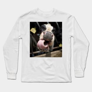 Close Up Of Cow's Nose and Tongue Long Sleeve T-Shirt